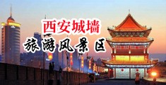 视频:巨大的鸡巴肏进极品小紧屄中国陕西-西安城墙旅游风景区